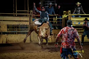 Bull Riding 26.9.2026