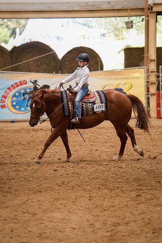 HALA - Detské závody na koníkoch - drezúra sawrr championat - reining (SAWRR)