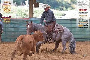 HALA - 4NCHA CUTTING III.