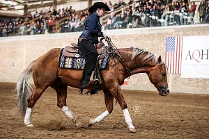 SLOVAK STALLION SHOW 2026