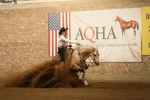 HALA - Reining NRHA April Slide Spring DERBY + SAWRR 1.kolo
