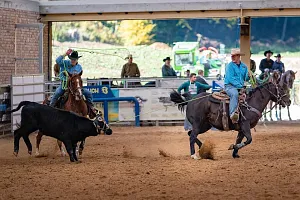 HALA - MSR Team Roping