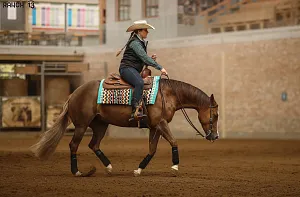 HALA - Reining MSR + NRHA - Ranch13 November Slide Autumn DERBY