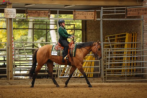 HALA - MSR - Drezúra All Round - Ranch13 SAWRR + AQHA + APHA 10.-12.10.2025