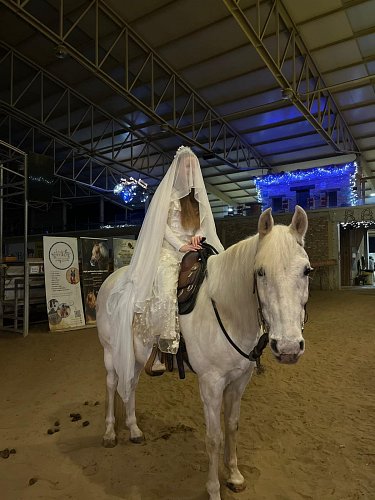 🎄  VIANOČNÁ ULIČKA - POPOLUŠKA 29.11.2024