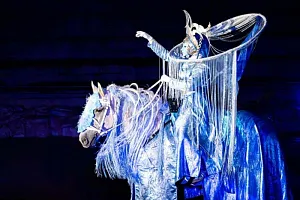 Konská show - Kůň Páty Element