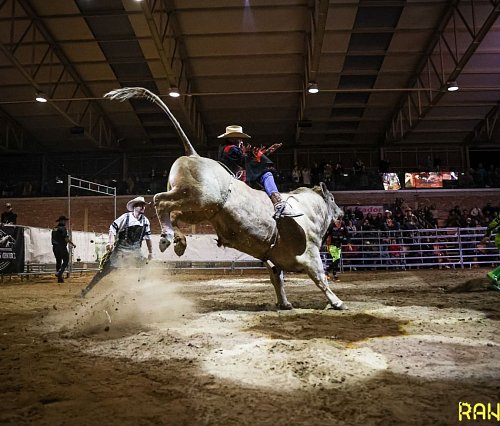 Bull Riding MSR Slovenska