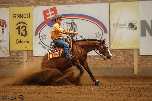 Reining NRHA April Slide Spring DERBY (NRHA + SAWRR) 24.-27.4.2025