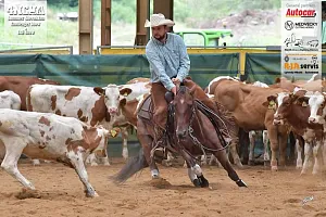 HALA - 4NCHA CUTTING II.