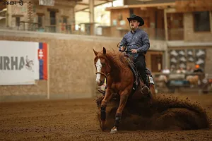 HALA - Reining NRHA SUMMER SHOW + SAWRR 2.kolo