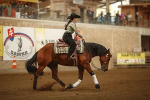 HALA - Reining NRHA HOLIDAY SHOW + SAWRR 3.kolo