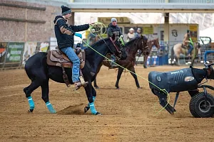 HALA - Holiday 2026 - Kurz: Roping, ERCHA Cow horse training