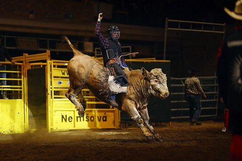 Bull Riding 4.10.2025
