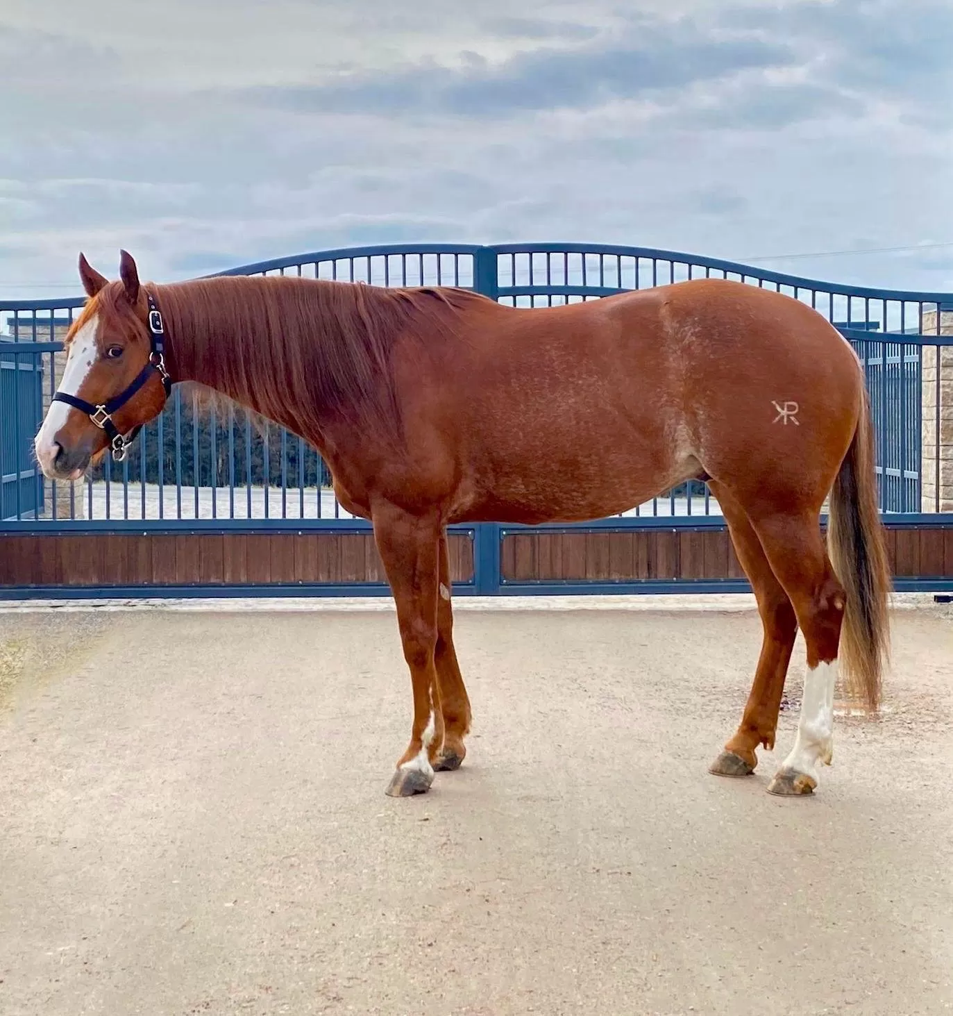 GC Shine Shorty Doll