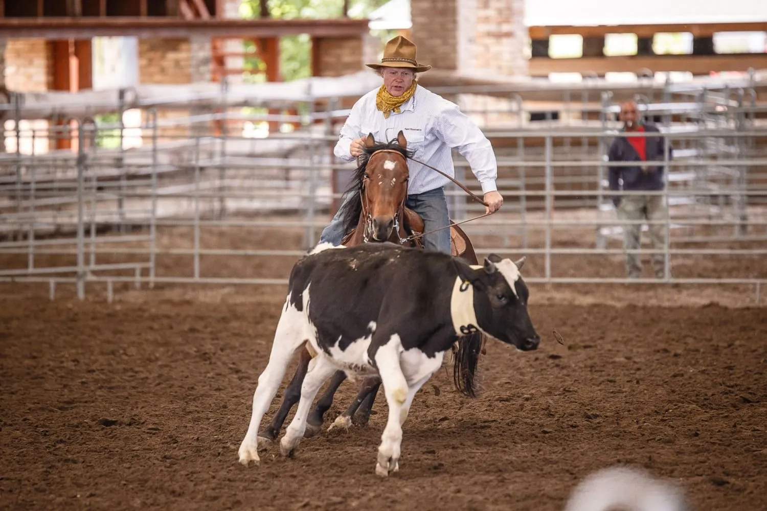 Was Born to Be Cowboy