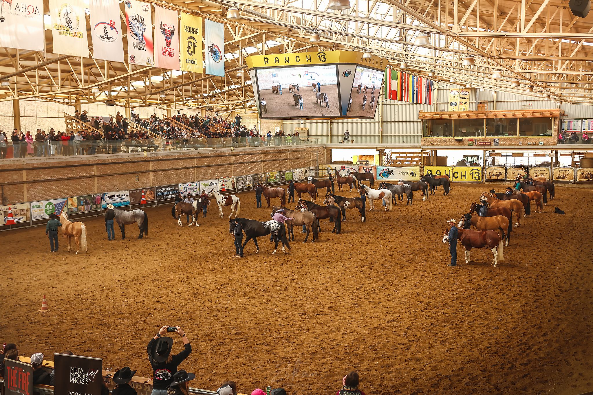Výstava žrebcov a ich predvedenie v jazdeckých disciplínach. 7/3/2026 program začína 9:00